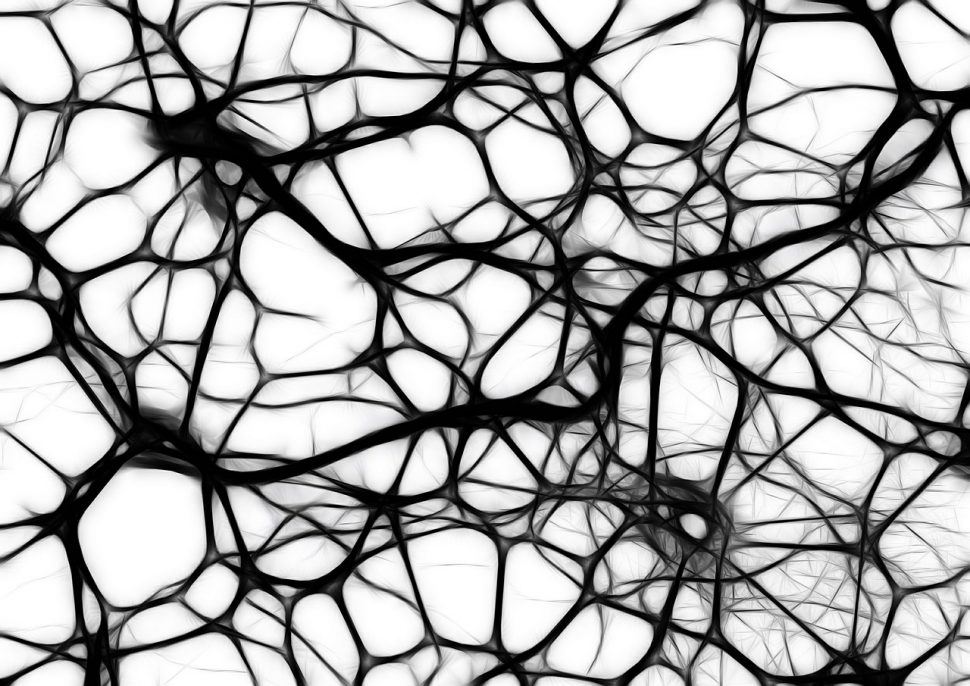 I neuroni specchio: argomento piuttosto complicato, ma decisamente attraente per gli estimatori di argomenti scientifici.