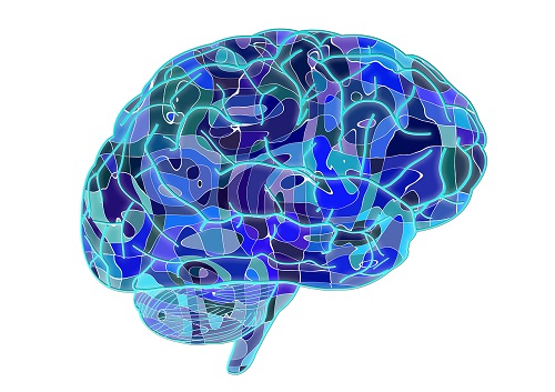 La psicanalisi lascia “tracce” nel cervello