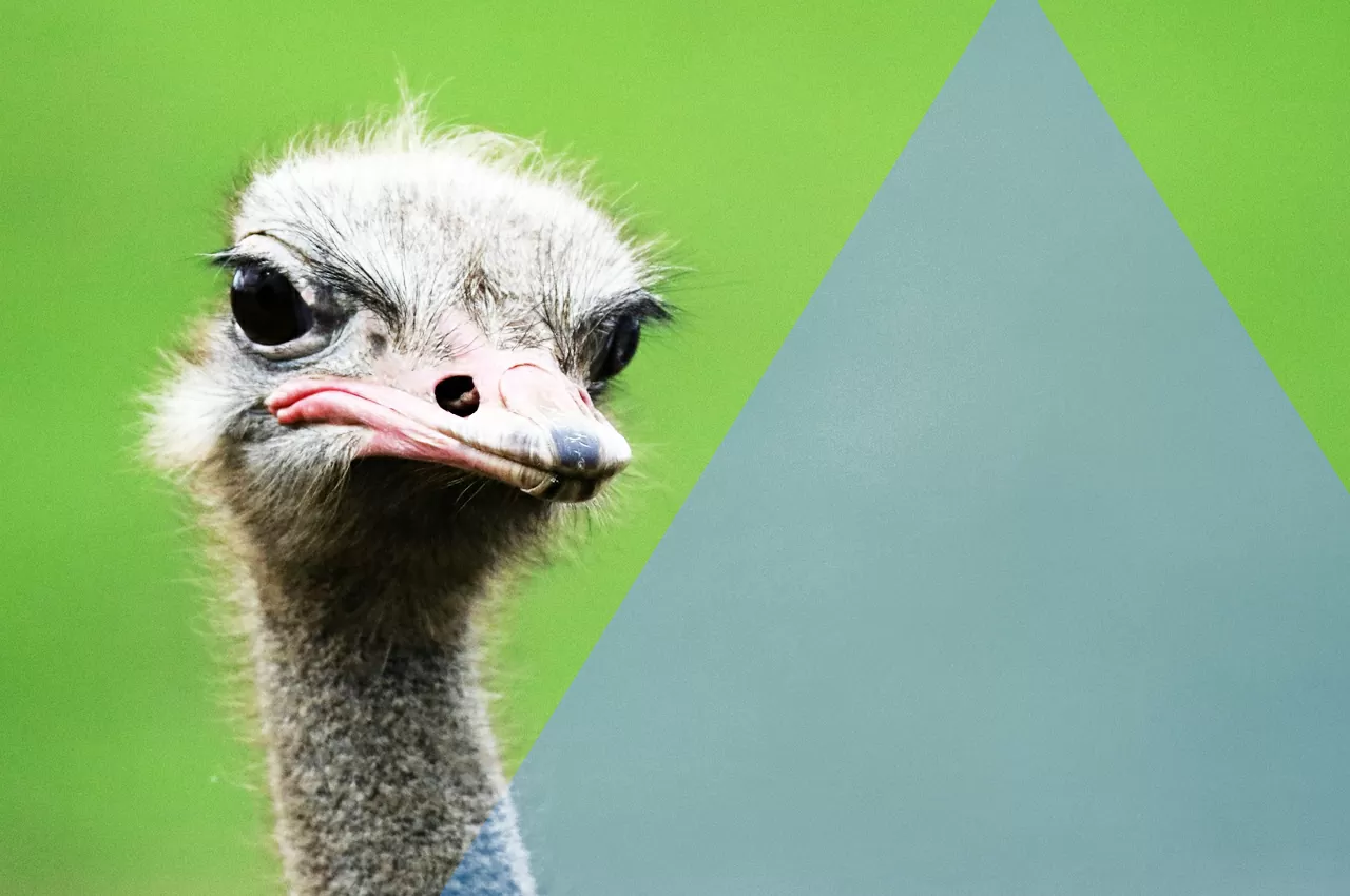 come interpretare l'intolleranza ai divieti in tempi di coronavirus