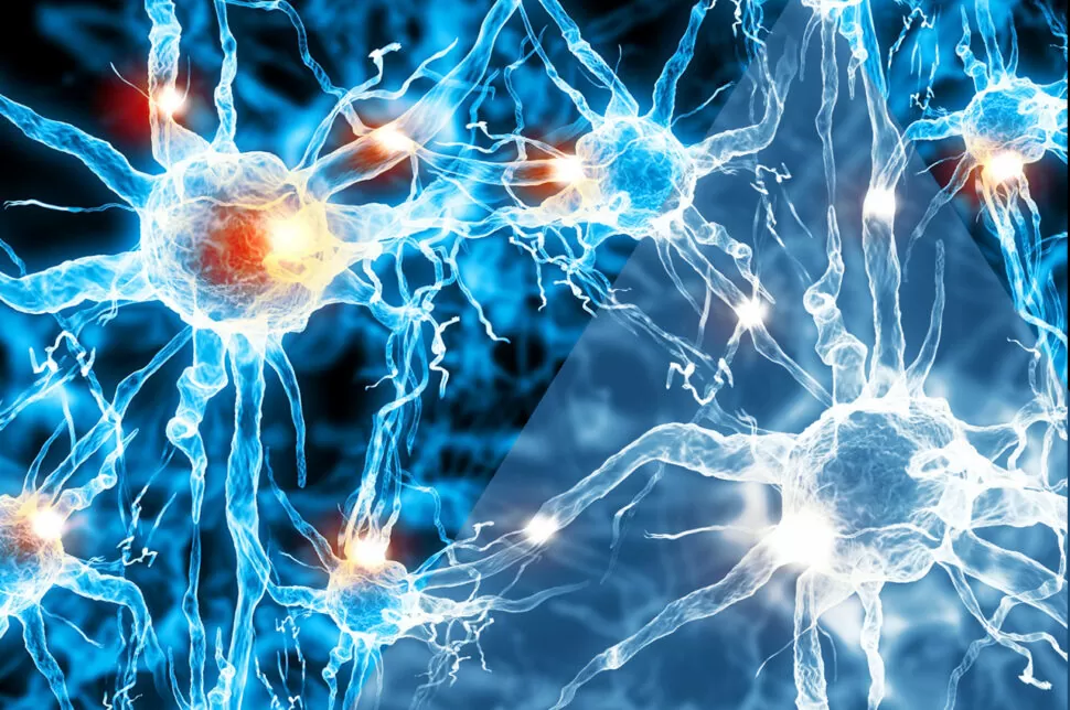 Trattamento dolore neuropatico - HTC Centro Medico Stradella Pavia