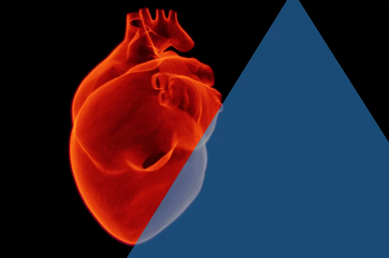 fibrillazione atriale