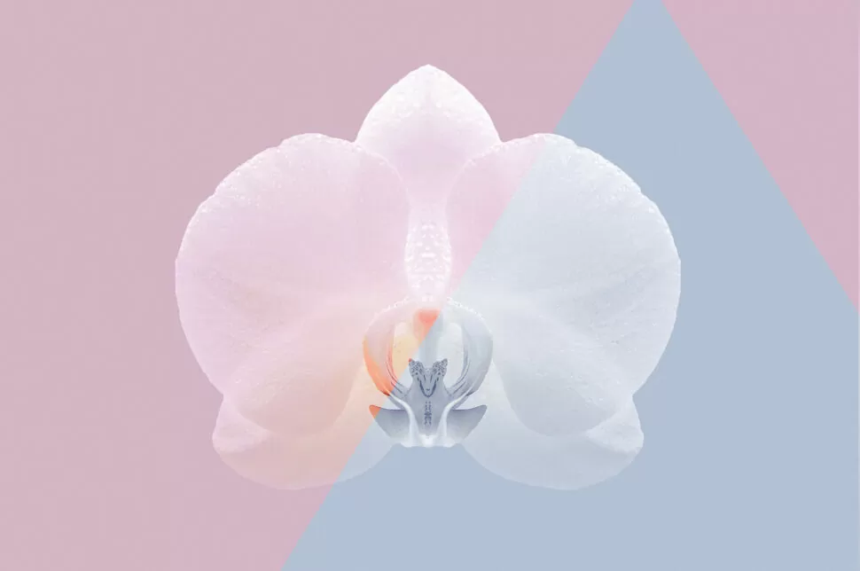 Trattamento ossigeno-ozono per genitali femminili