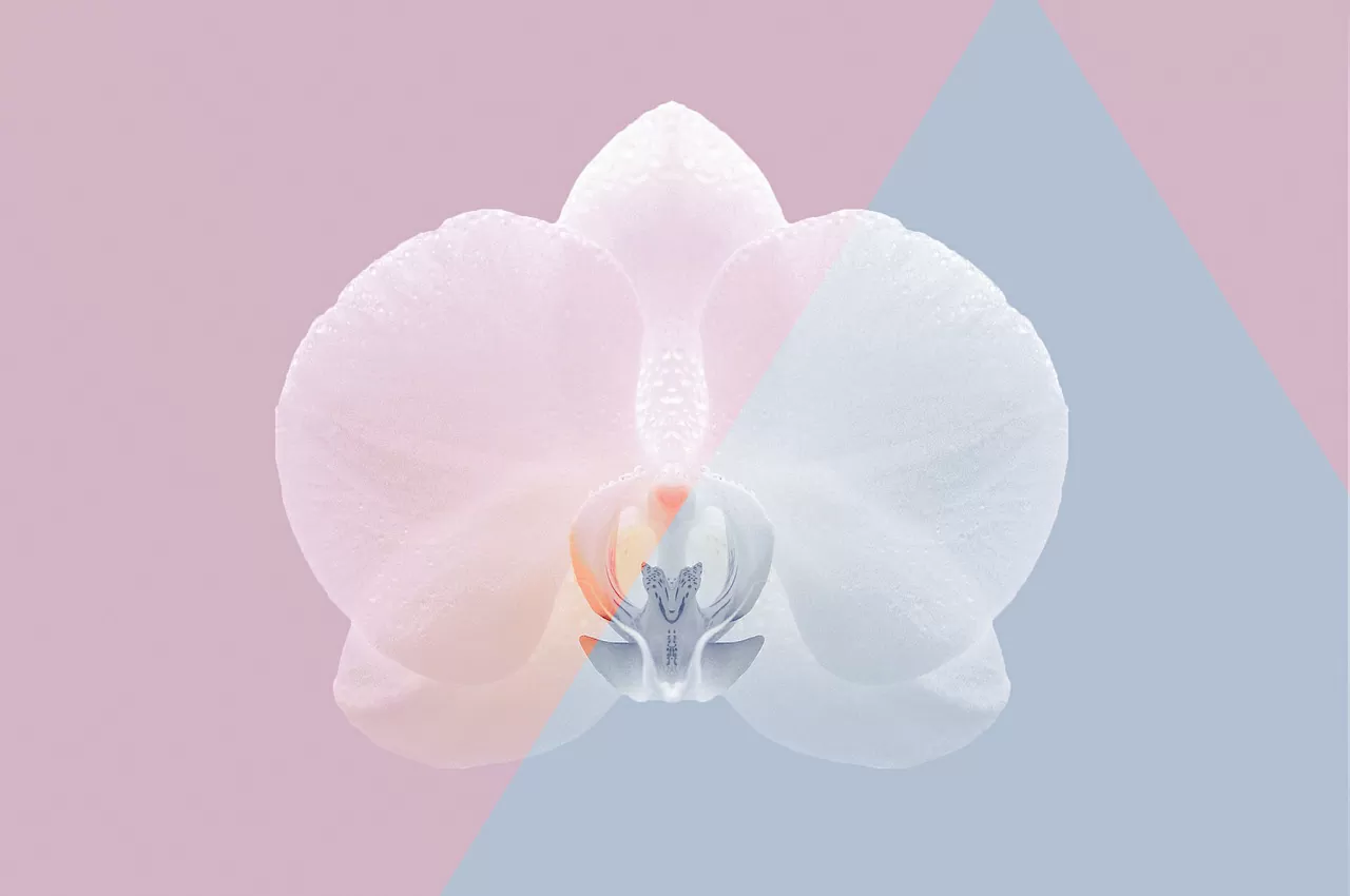 Trattamento ossigeno-ozono per genitali femminili