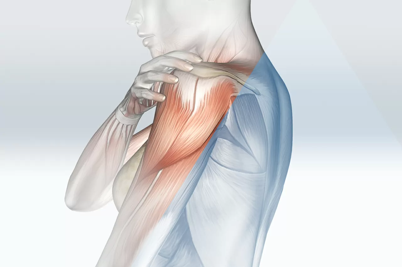 Spalla dolorosa - Ecografia - HTC Centro Medico a Stradella Pavia