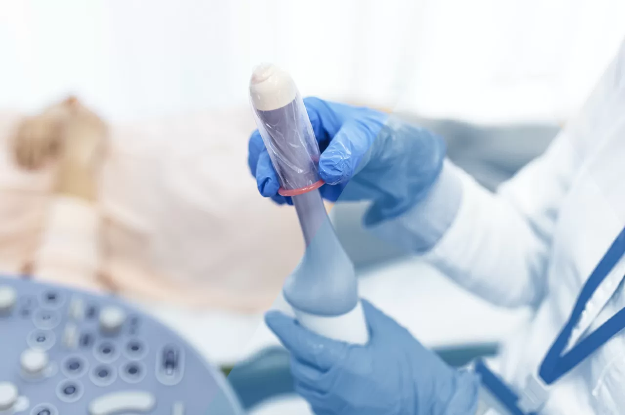 Ecografia Pelvica Transvaginale - HTC Stradella Pavia