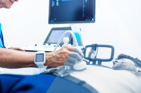 ecografie low-cost HTC Centro medico Stradella Pavia