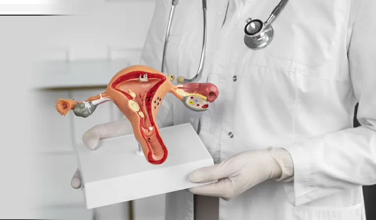 Disfunzioni del pavimento pelvico - HTC Centro Medico Stradella