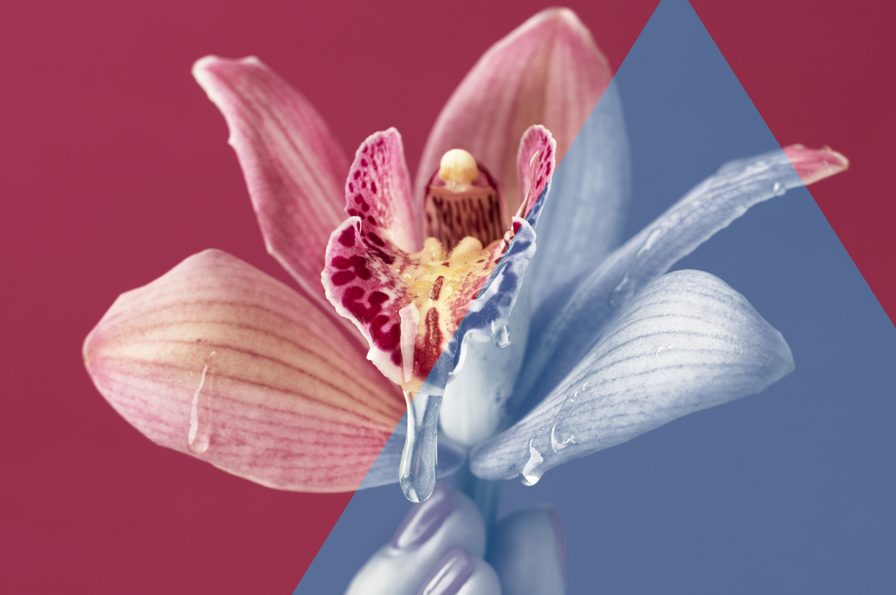 menopausa e disturbi vaginali