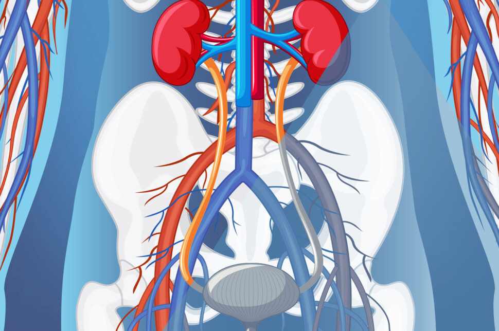 Urologia, Andrologia e Uroginecologia in HTC, a Stradella-Pv