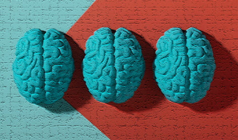 Neurodivergenza. Diagnosi e certificazioni DSA, ADHD e autismo a Stradella (PV)